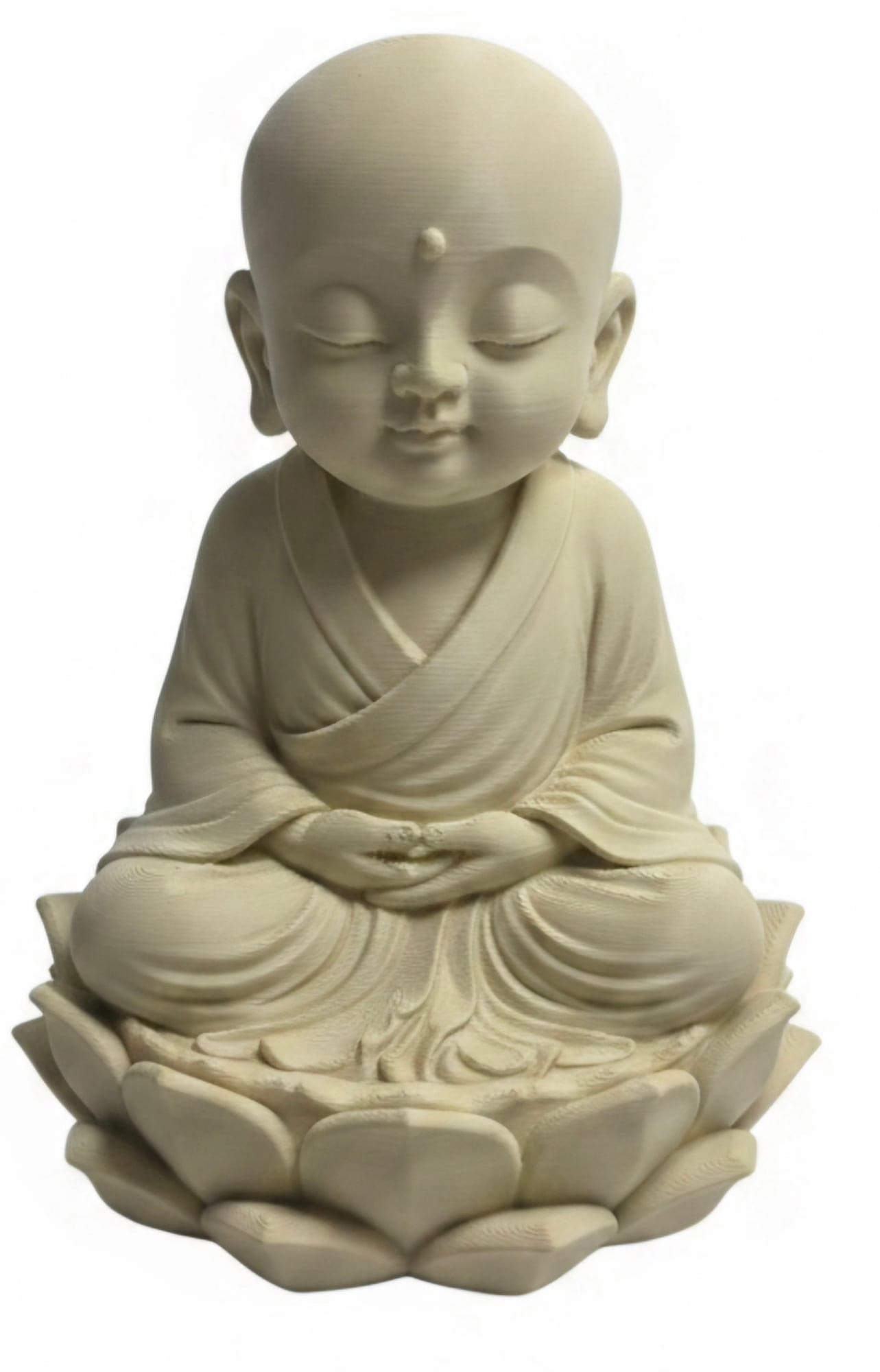buda lotus